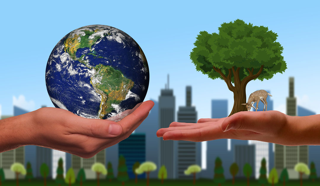 environmental sustainability
